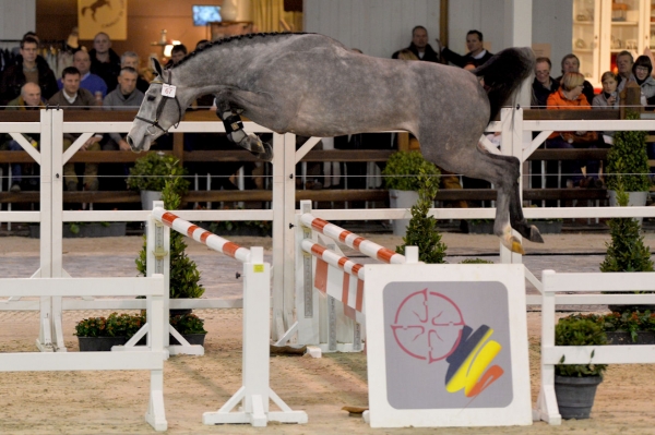 Hunters Carambole, revelatie 2015, beschikbaar in vers sperma 